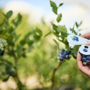 FREE Trial Membership